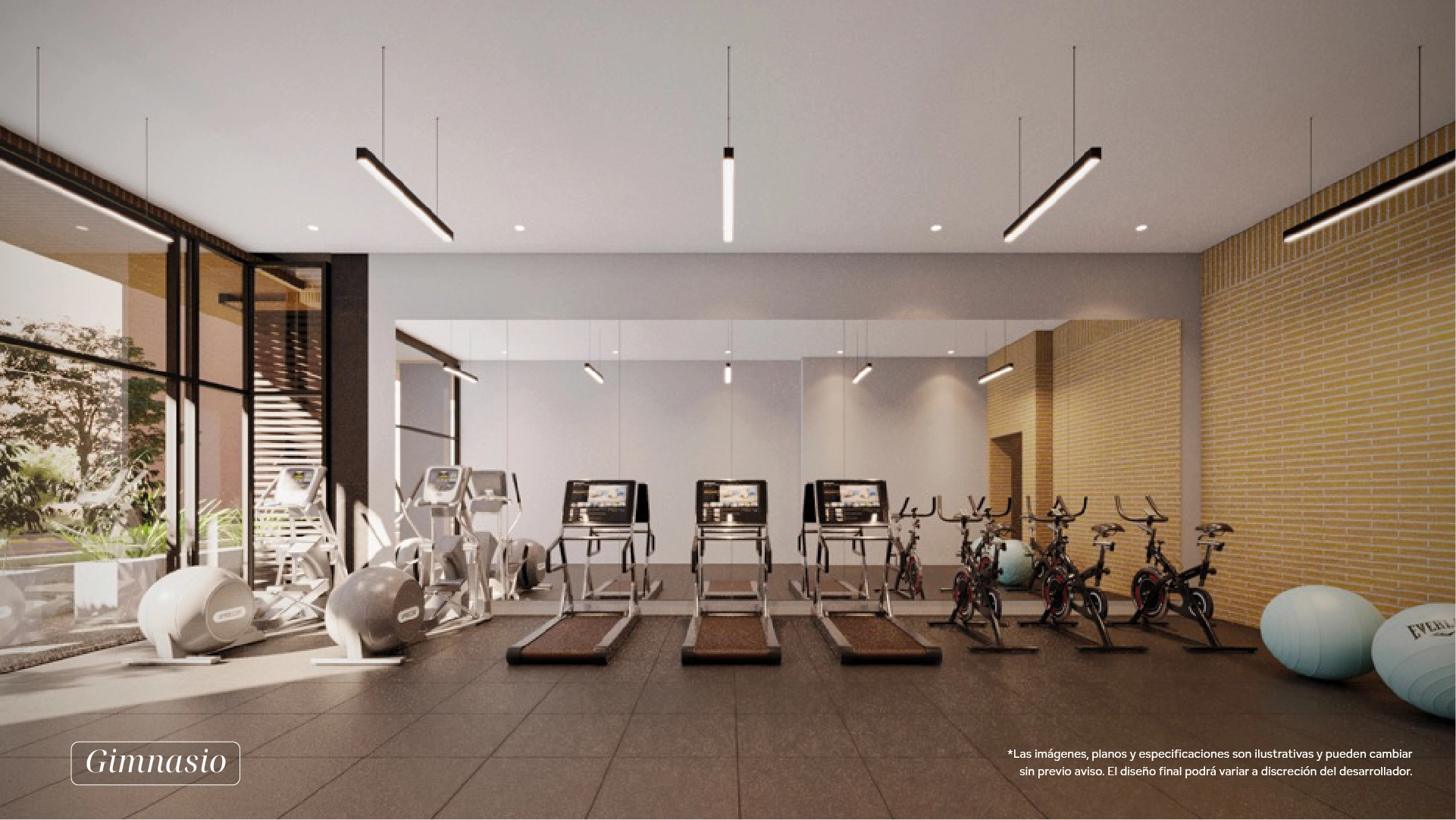 Galería_Gym