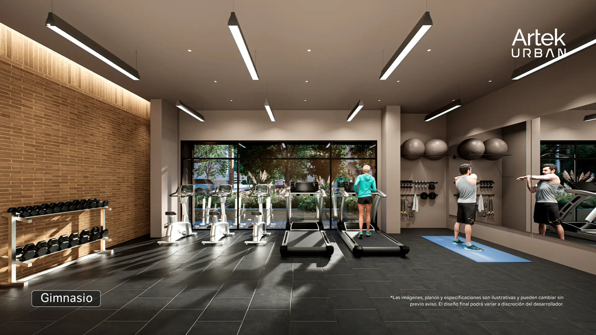 11-AMENI-Gimnasio